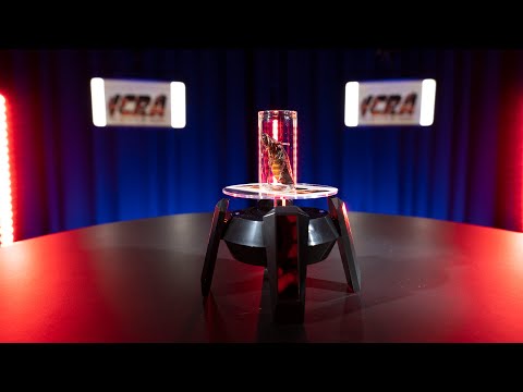 Unleash the Roach Fury: Meet "Mad Max" - The USA's Speediest Sporty Cockroach