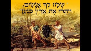 פרשת שלח | מהגשמי אל הרוחני | להודות על הכשלון