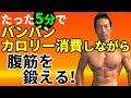 たった5分でバンバンカロリー消費しながら腹筋を鍛える！動きながらの体幹運動。スパイダーマン