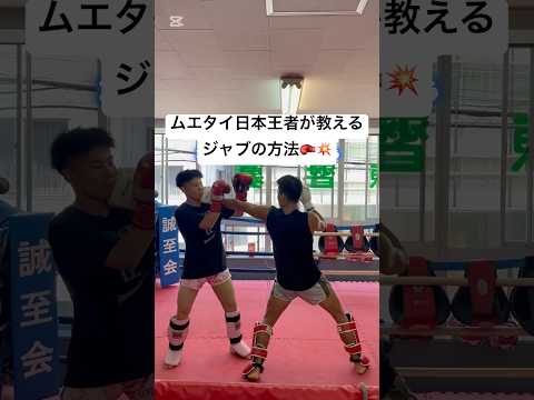 ムエタイ日本王者が教えるジャブの方法！！格闘技初心者🔰の方必見🥊#格闘技#キックボクシング #ムエタイ#ジャブ#muaythai#kickboxing #kyokushin