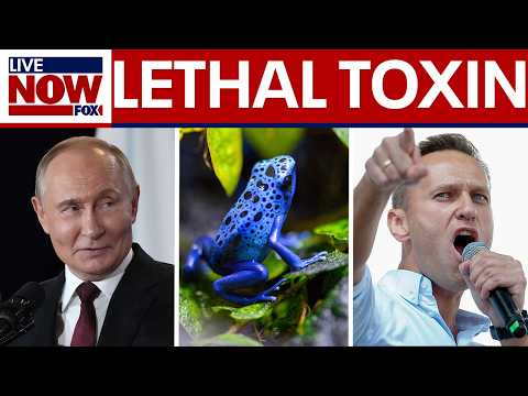 Putin opponent killed with lethal frog toxin, European countries conclude