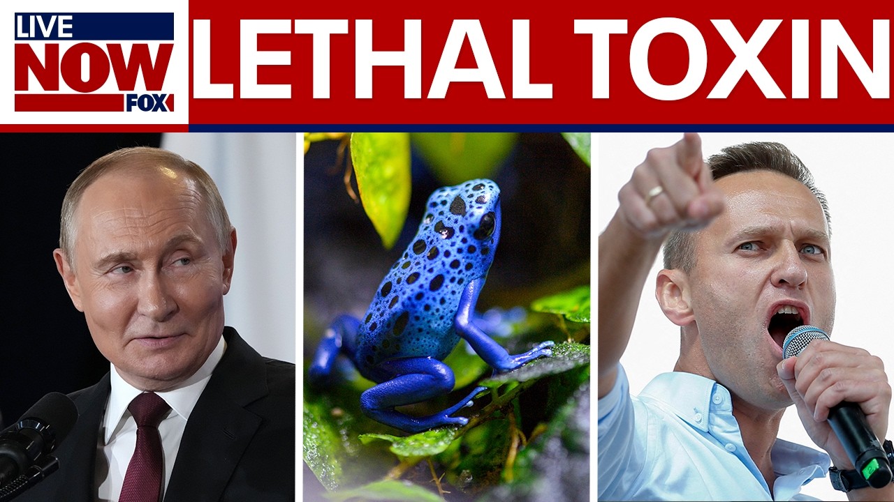 Putin opponent killed with lethal frog toxin, European countries conclude