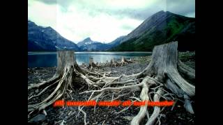 GARCILASO SONETO  XIII A Dafne ya los brazos le crecían