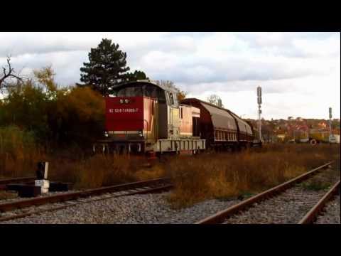 "Gogosarul" 05 in Actiune (Autumn Edition)