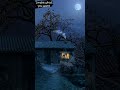 Narazgi Teri New Video For Whatsapp Status