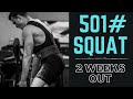 501LB/227.5KG SQUAT PR 2 WEEKS OUT | Road To 90kg Ep.13