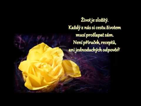 PODÍVEJ, KVETE RŮŽE-WATCH, BLOOMING ROSE