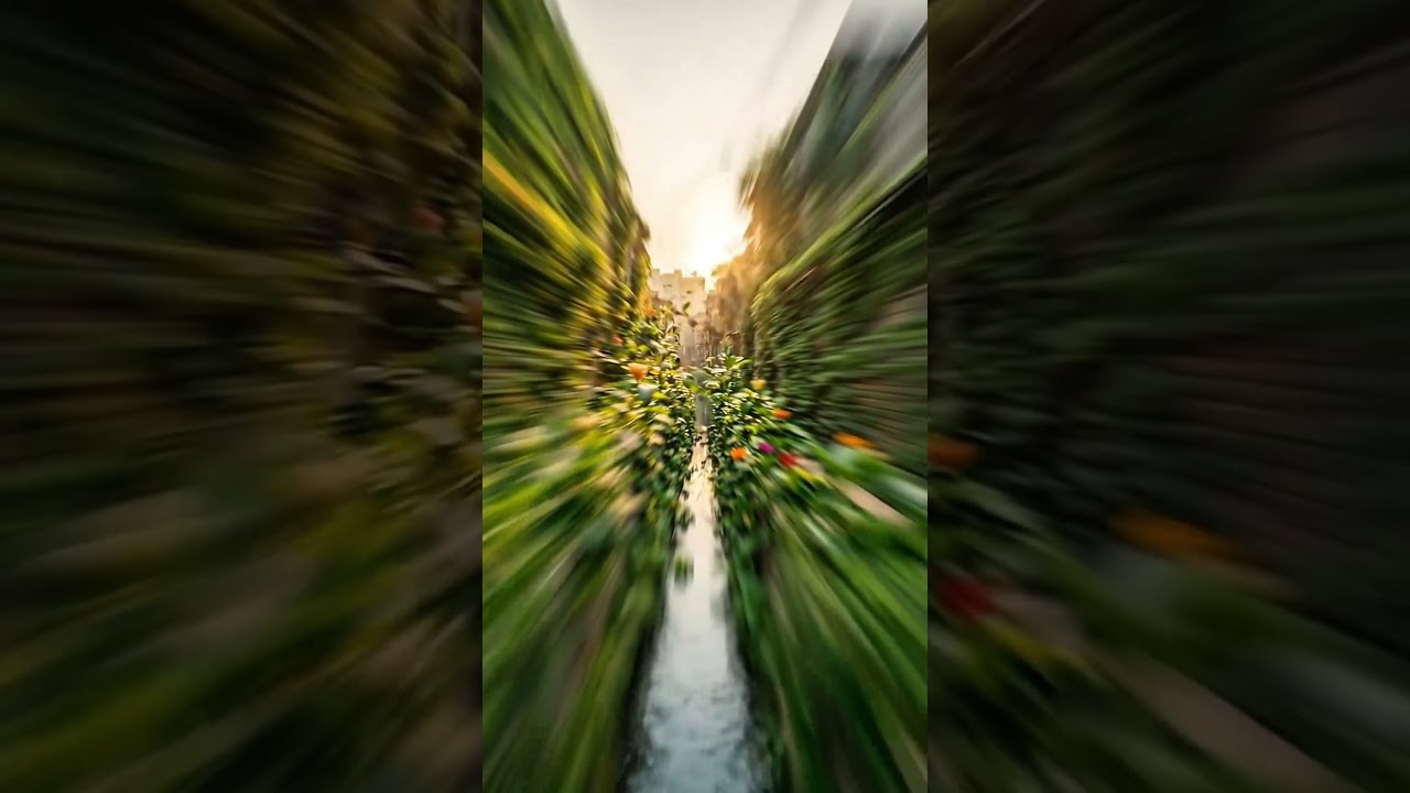 TimeFlow AI - Video timelapse sungai kotor jadi bersih