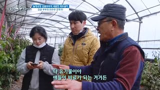 [놀멍쉬멍 감귤 부부의 제주살이] 감귤 부부의 든든한 조력자는 누구...?