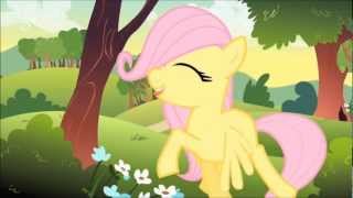 Kadr z teledysku Mas que Lindo Lugar [So Many Wonders] (Brazilian Portuguese) tekst piosenki My Little Pony: Friendship Is Magic (OST)