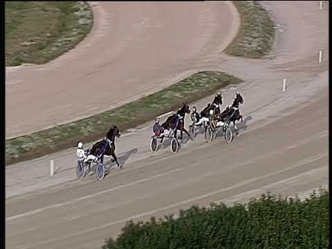 Trotto 30/11/2018 - prova di qualifica