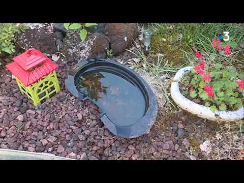 Alerte rouge : les moustiques tigres passent à l'attaque dans le Tarn