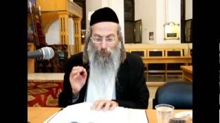 הרב אליהו גודלבסקי | פרשת אמר - שיעור מלא