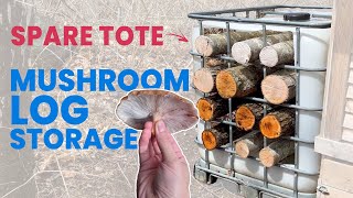 Building a Mushroom Log Rack (NO DIALOGUE VIDEO)