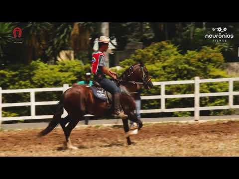 Exímio de Três Corações, Res. Campeão da Raça e Res. Marchador Ideal.
