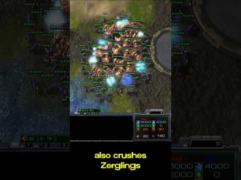 Do Immortals Actually Have a Counter?