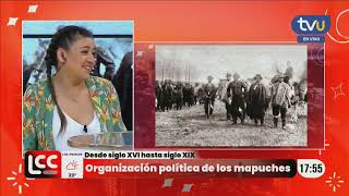 Organización política de la Nación Mapuche