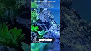 ISSO É OQUE UMA MÃE FAZ POR SEUS FILHOS