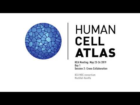 Human Cell Atlas: Cross Collaboration - HCA MRC consortium