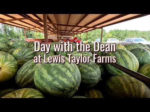 Day with Dean: Lewis Taylor Farms in Tifton, Georgia