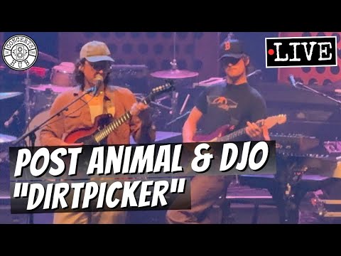 Post Animal & Djo "Dirtpicker" LIVE