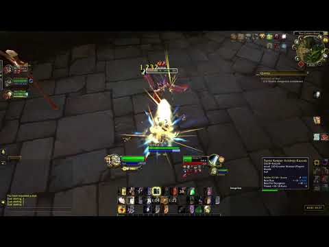 Retribution Paladin Duel, 449 ilvl vs. 461 ilvl.