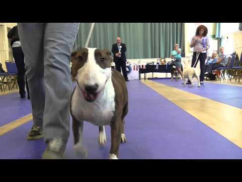 Gazur Guerdon Cup SECBTC 26th Sept 2015