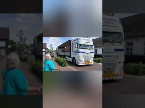 v.v. Maarheeze JO13-1 kampioen '22/'23