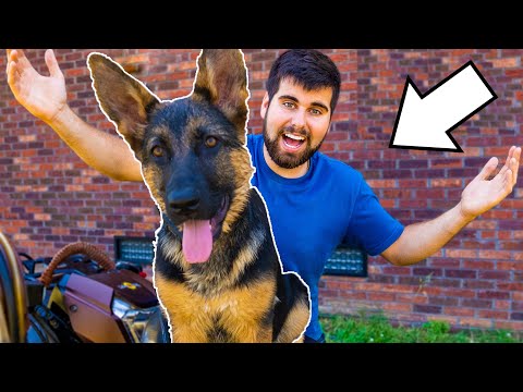 The SECRET I Have Been HIDING!