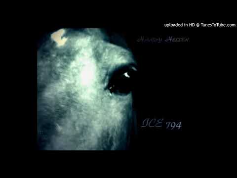 Disco storia Zappalà! Hardy Heller - Ice 794 (Thanks To Berlin 1999)