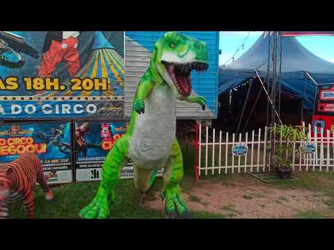 Dayllon Circus Ibicaraí, Bahia #marcosgari 