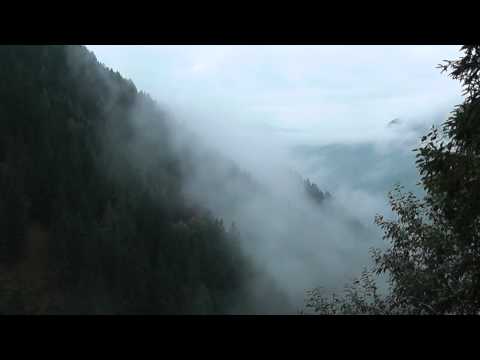 Wildlife blog: Red deer - Rotwild part 2