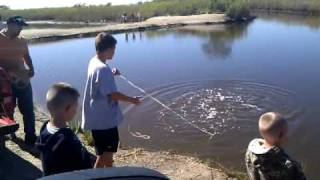preview picture of video 'Gage catching shrimp with castnet (1st time)'