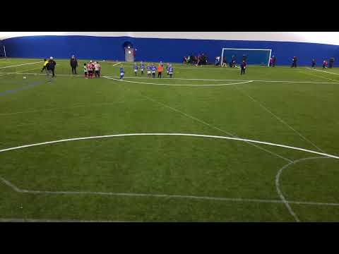 paukup-pepo violetti