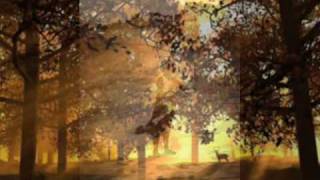 Vivaldi Gloria in D major Et In Terra Pax Video