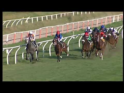 Galoppo 21/12/2020 - 4ª corsa