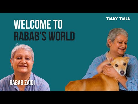 Meet Rabab Zaidi and her beautiful world of furry friends #talkytails #stray #dogs #cats