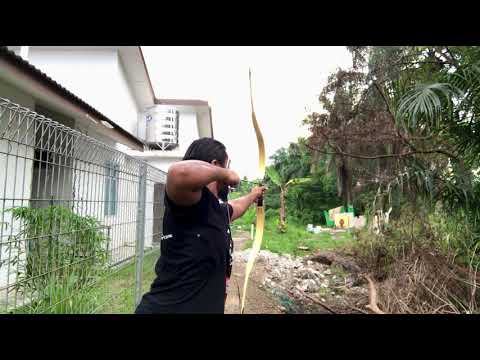 Gao Ying Technique Zhuran Gen2 AF Archery Bow 54.5# @ 31.5” and 545 grain 32.25” OL 10GPP arrow.