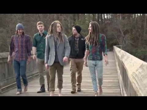 The Way Down Wanderers   Dead Birds