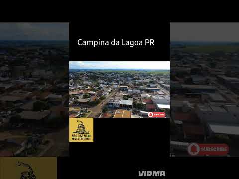 Campina da Lagoa Pr #2026 #cruiseship #tbt #miami #agro #pesca #interior