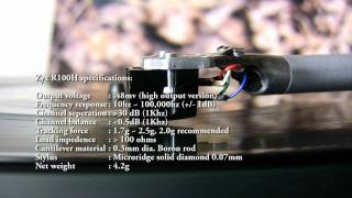 Rega P25 plays The Icicle Works - Birds Fly (Whisper to a Scream) on vinyl