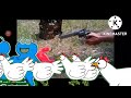 Elmo Animal Running Add Round 1