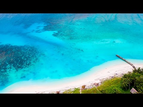 Kandui Island - Mentawais - Indonesia