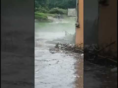¡BAJO EL AGUA! 🚨 Se desborda río y deja incomunicada a la colonia San Pedro Chachapa en Puebla