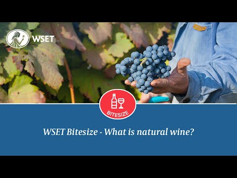 WSET Bitesize - What is natural wine?
