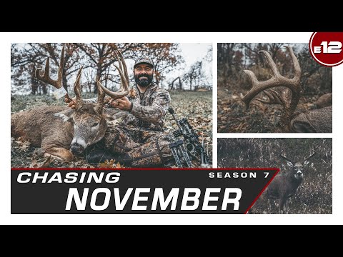 E12: Closing the Story of Chubbs, Encountering an Iowa Monarch | Chasing November Season 7