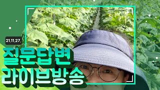 질문답변라이브바송 질문들은 설명란을 보세요.