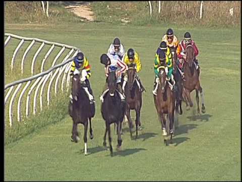 Galoppo 27/08/2016 - 1° corsa