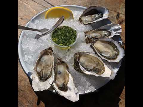 Perlick Ice Maker VIdeo Video