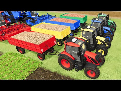 Colors Farming Adventure! 🎡 Sugar Beet Harvesting with Mini Tractors 🚜 - Farming Simulator 22